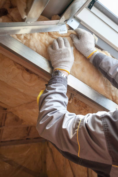 Best Spray Foam Insulation in Sauk Centre, MN